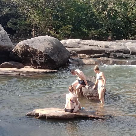Jungle Village Homestay พินนาวาลา ภายนอก รูปภาพ