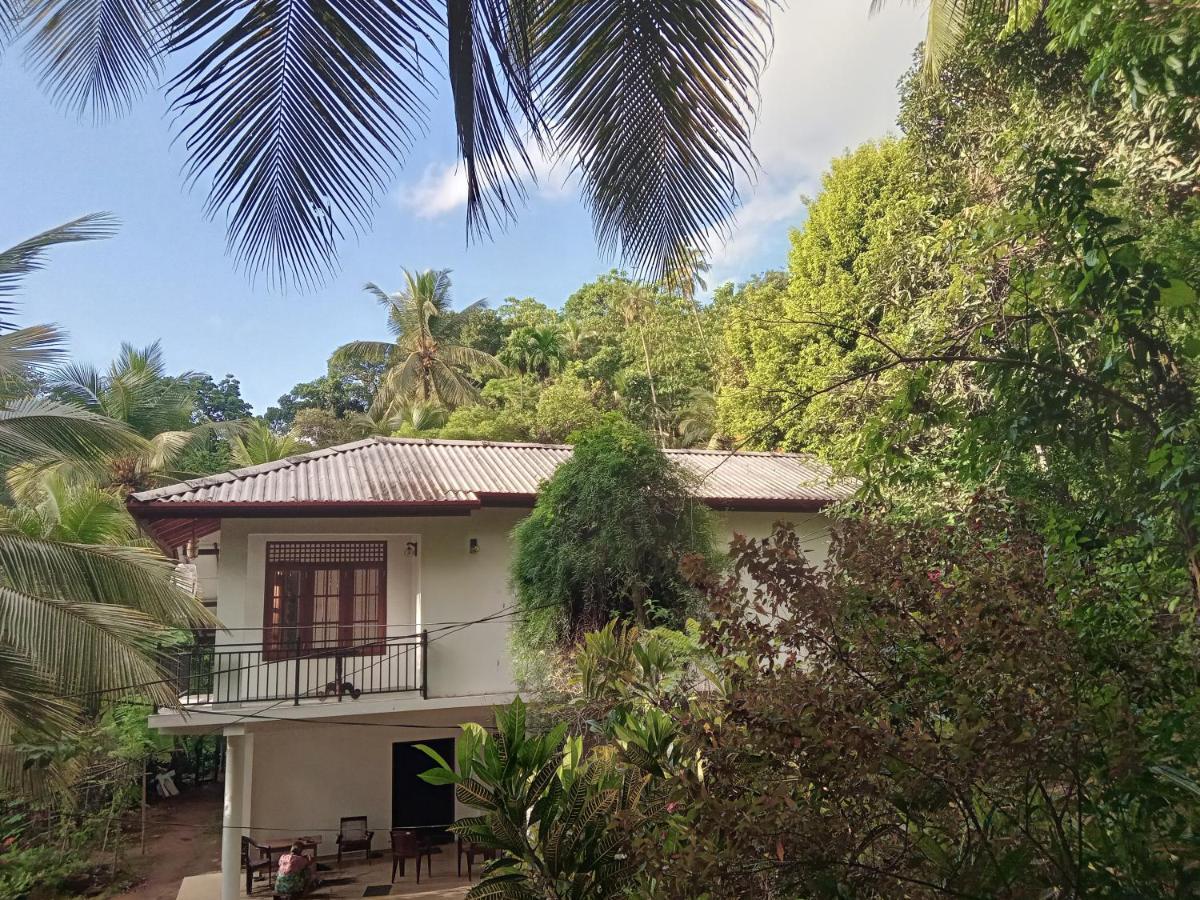 Jungle Village Homestay พินนาวาลา ภายนอก รูปภาพ