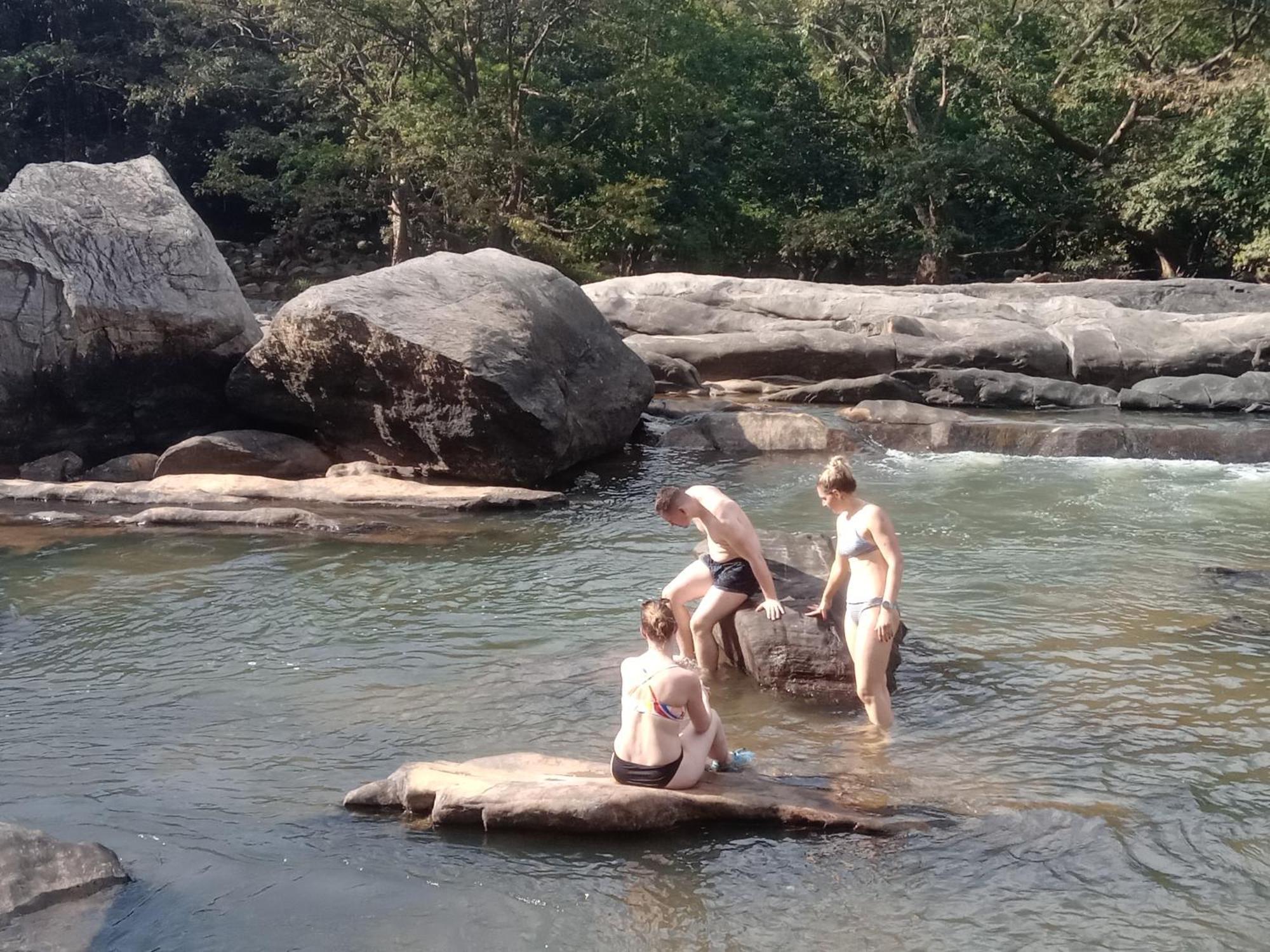 Jungle Village Homestay พินนาวาลา ภายนอก รูปภาพ