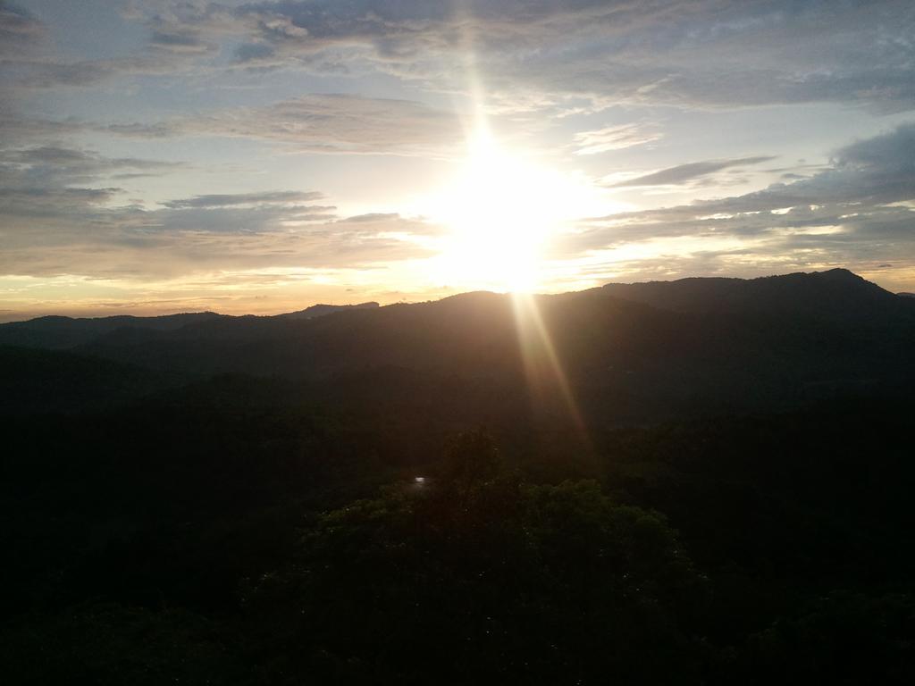 Jungle Village Homestay พินนาวาลา ภายนอก รูปภาพ