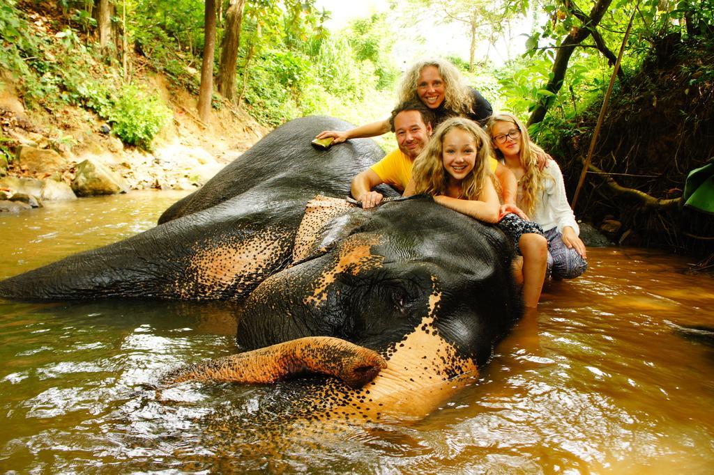 Jungle Village Homestay พินนาวาลา ภายนอก รูปภาพ